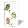 1 Pack paper handkerchiefs - Bird species white - Ambiente - Animals - Birds