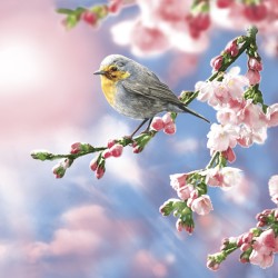 Paper lunch napkins - Robins in the Morning Sun  - Daisy - Flowers - Blossom - Bird