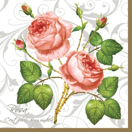 paper lunch napkins - Rosa Centifolia White - Roses