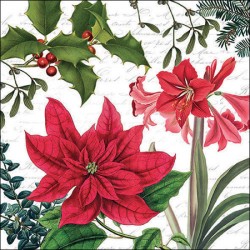 paper lunch napkins - Christmas plants white - Ambiente - Christmas - Winter
