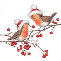 paper lunch napkins - Christmas robins white - Ambiente - Christmas - Robin - Birds