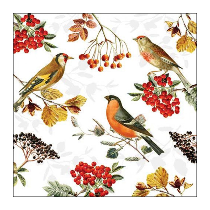 papieren lunch servetten - Autumn birds - Ambiente - Herfst - Vogels papieren lunch servetten - Autumn birds - Ambiente - Herfst - Vogels