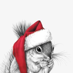paper cocktail napkins - Ralf Red Hat - PPD - Santa hat - Squirell