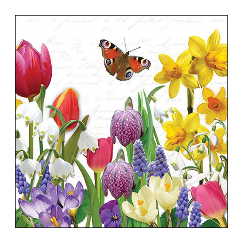 Ambiente - Lunch servetten - Spring feeling Ambiente - Lunch servetten - Spring feeling