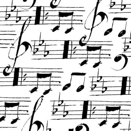 Lunch napkins - Musique