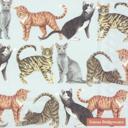 IHR - Lunch servetten - Cats Light blue