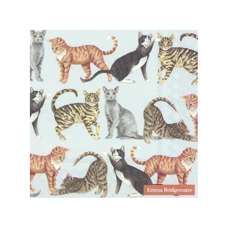 IHR - Lunch Napkins - Cats Light blue IHR - Lunch Napkins - Cats Light blue
