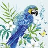 IHR - Lunch servetten - Parrot Light Blue