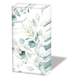 Ambiente - Zakdoeken - Eucalyptus all over