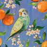 PPD - Lunch servetten - Perruche et Oranges - Parkiet - Sinasappel - 133003006