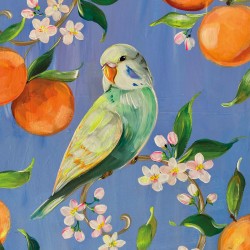 PPD - Lunch servetten - Perruche et Oranges - Parkiet - Sinasappel - 133003006