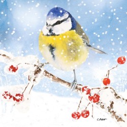 PPD - Lunch Napkins - Oiseau glacé - 333002775 - Winter - Bird