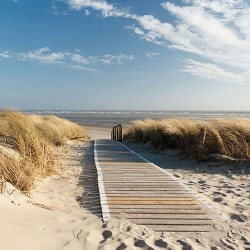 1 Pakje papieren lunch servetten - Walking To The Sea - Ambiente