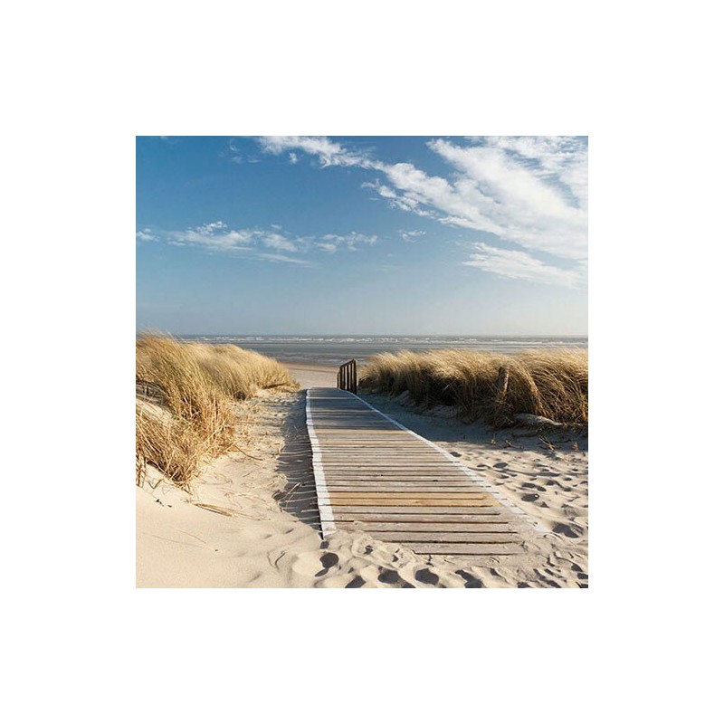 1 Pakje papieren lunch servetten - Walking To The Sea - Ambiente 1 Pakje papieren lunch servetten - Walking To The Sea - Ambiente