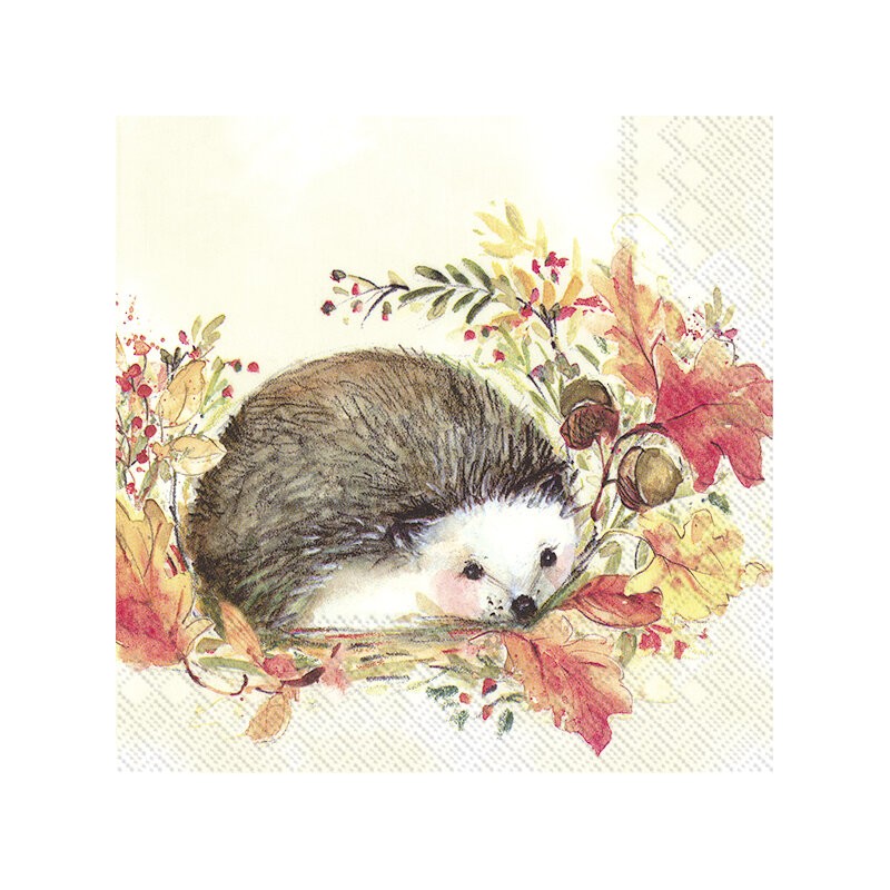 1 Pack Paper Lunch Napkins - SWEET HEDGEHOG - IHR