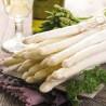 1 Pakje papieren lunch servetten - Asparagus Mix - Ambiente