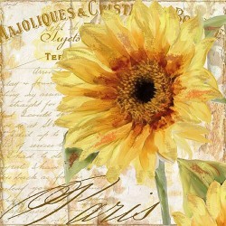 1 Pack Paper Lunch Napkins - Tournesol - Ambiente