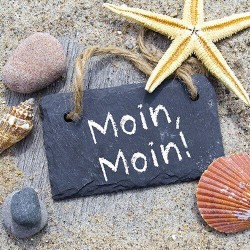 papieren lunch servetten - Moin Moin - Ambiente
