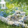 papieren lunch servetten - Flower Heart - Hart - Madeliefjes - Ambiente