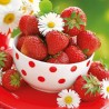 1 Pack Paper Lunch Napkins - Strawberries In Bowl - Ambiente
