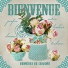1 Pack Paper Lunch Napkins - Bienvenue - Ambiente