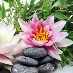 1 Pack Paper Lunch Napkins - Water Lily - Ambiente