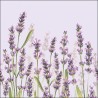 Ambiente - Lunch servet - Lavender Shades Lila