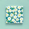 HOP - Wrapping Paper 30 cm - Daisy