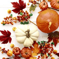papieren lunch servetten - Pumpkin & leaves - Paper+Design - Pompoen - Bladeren