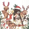 IHR - Lunch servetten - Dog - Mas